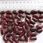 Red kidney beans