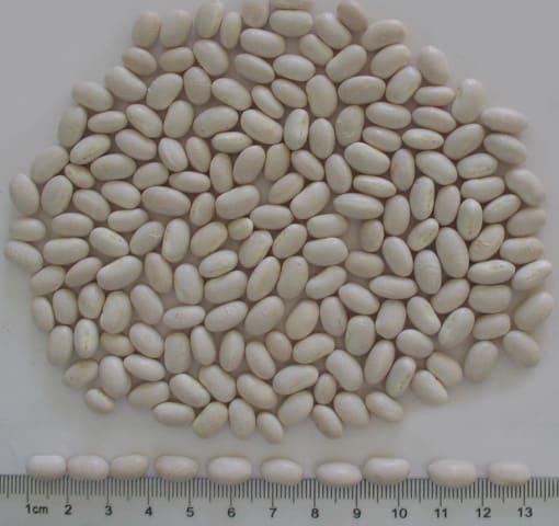 Exporters of Beans Pulses Rice,Pakistani / Indian Spice, Fresh water farm grown fish | Beans