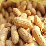 Peanuts