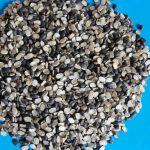 Urad Chilka