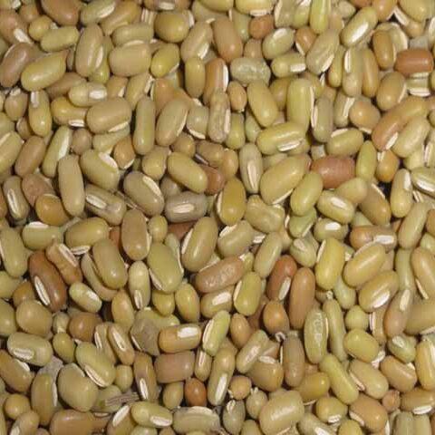 Bamboo Beans Bamboo Beans
