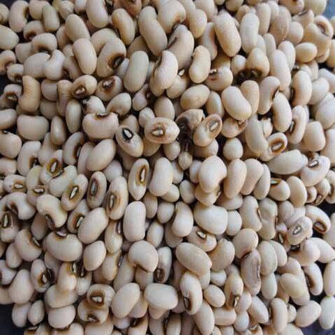 Blackeyed Beans Blackeyed Beans