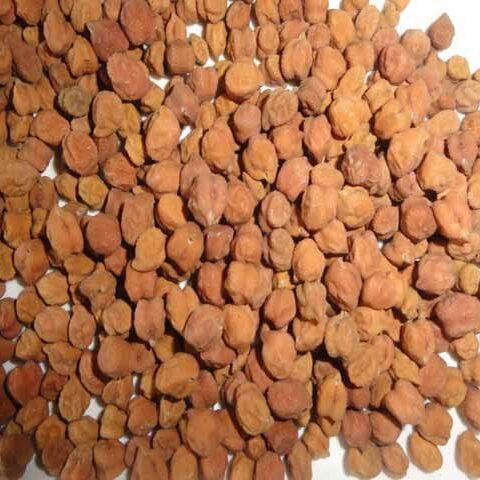 Desi Chana ( Jumbor ) Desi Chana ( Jumbor )