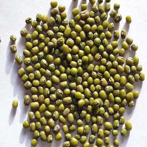 Green Mung Beans Green mung beans in middle asisa