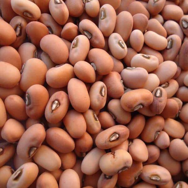 Pink Cowpeas