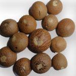 betel nut whole