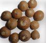 betel nut whole