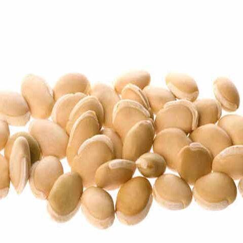 Lablab Beans