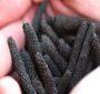 long pepper