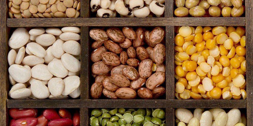 Beans: The Powerhouse of Mental and Gut Health Beans Beans: The Powerhouse of Mental and Gut Health Beans, often hailed as the unsung heroes of the culinary world, are not just a staple in various cuisines but also a cornerstone of good health. Packed with an impressive nutrient profile, beans are increasingly recognized for their role in promoting.