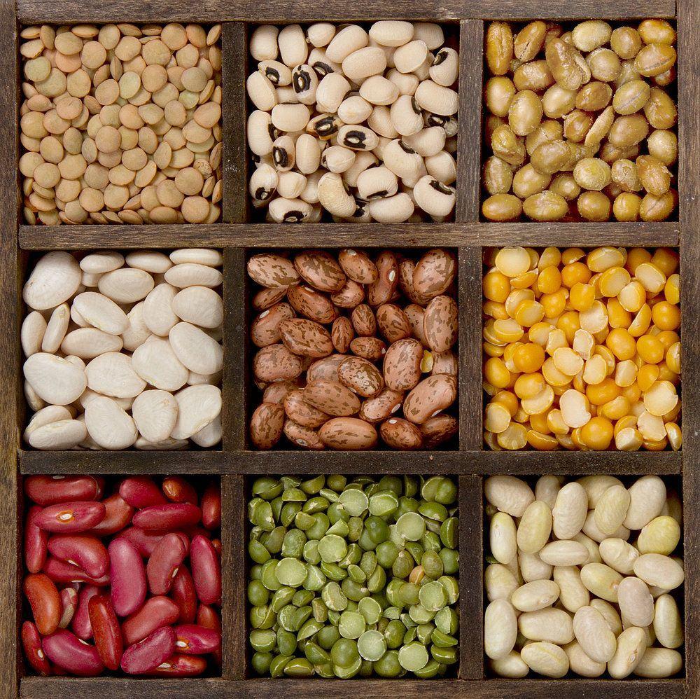 Beans: The Powerhouse of Mental and Gut Health Beans 1 Beans: The Powerhouse of Mental and Gut Health Beans, often hailed as the unsung heroes of the culinary world, are not just a staple in various cuisines but also a cornerstone of good health. Packed with an impressive nutrient profile, beans are increasingly recognized for their role in promoting.