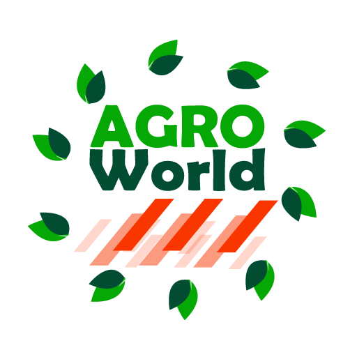 Exporters of Beans Pulses Rice,Pakistani / Indian Spice, Fresh water farm grown fish | Beans