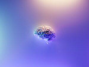 improves brain function using mekral by agroworld